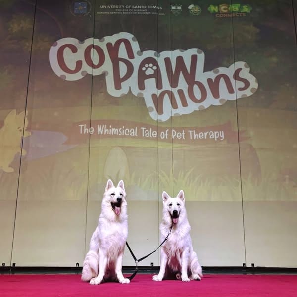 ComPAWnions are forever 🐶🐶