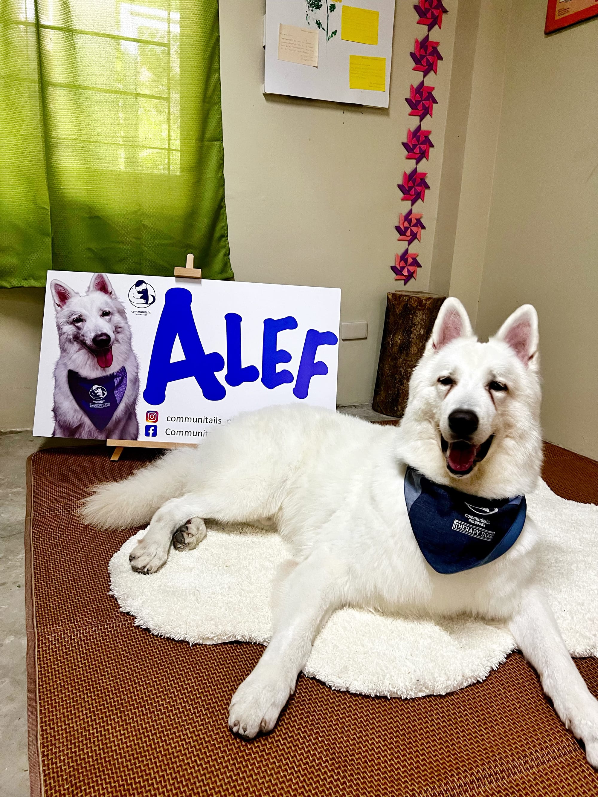 Alef