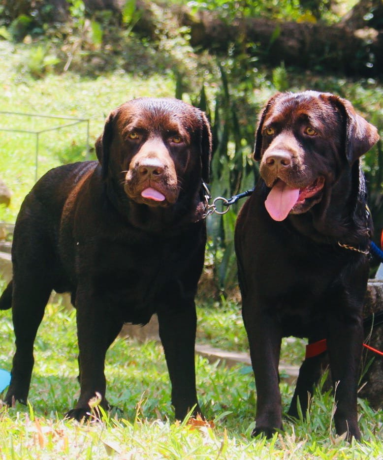 Robbin and Arya